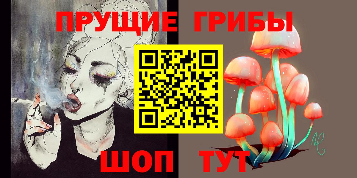 Псилоцибиновые грибы Psilocybe  Галлюциногенные грибы ЛСД  где купить наркоту  Чистополь  Вход с VPN 